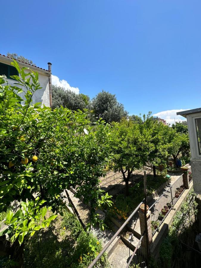 Casa Vittoria Διαμέρισμα Vietri Εξωτερικό φωτογραφία